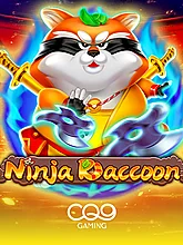 Ninja Raccoon